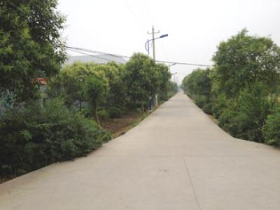 2007年 / 修路建桥 / 42万元 - 江苏省常州市武进区