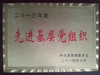 晨光涂料党支部荣获先进基层组织称号